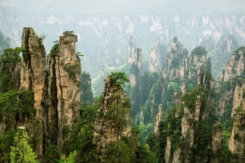 Forested sandstone pillars rising through mist in Zhangjiajie National Forest Park